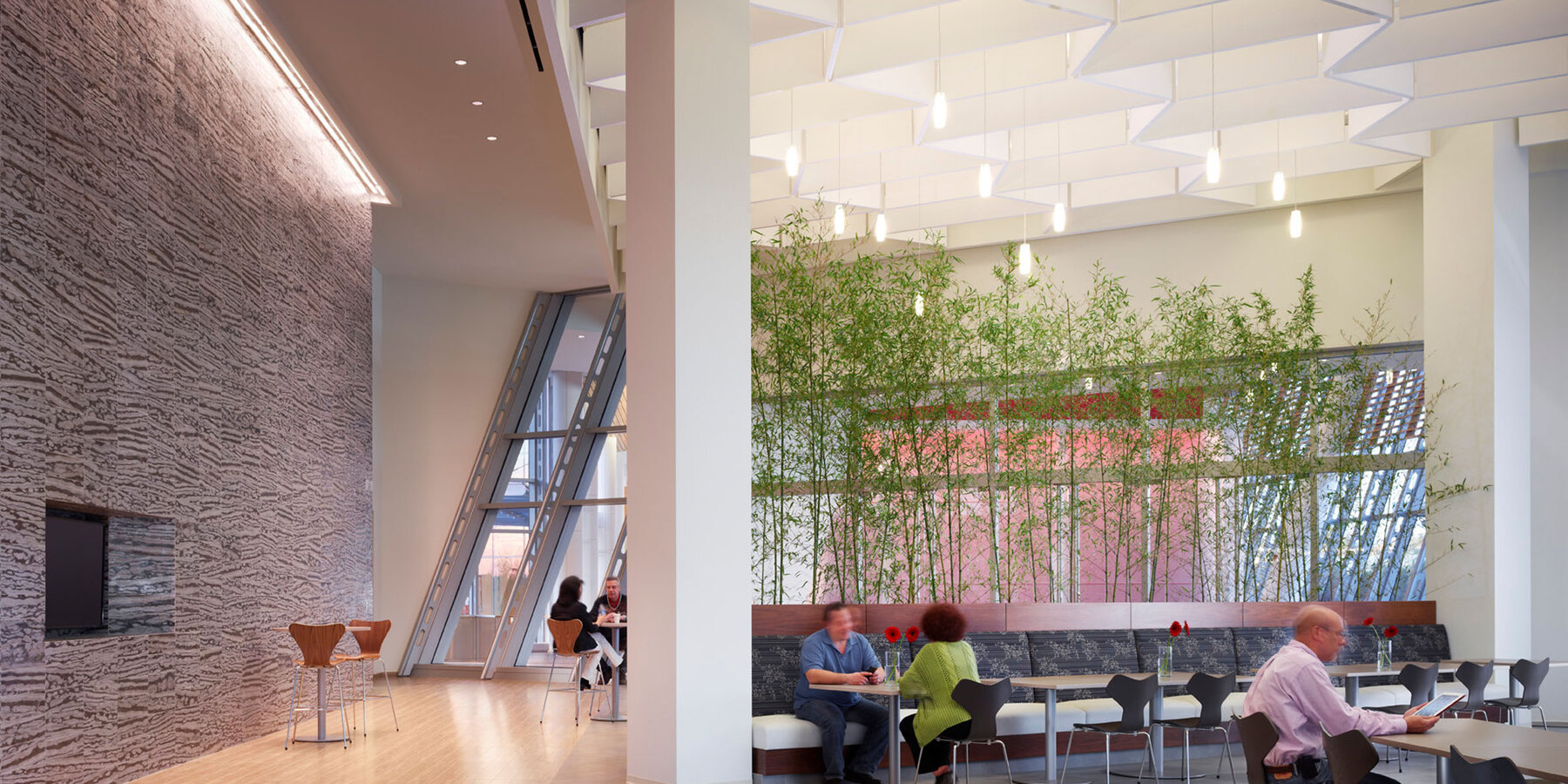 Corporate Office Construction - Astellas Pharma Headquarters cafeteria seating