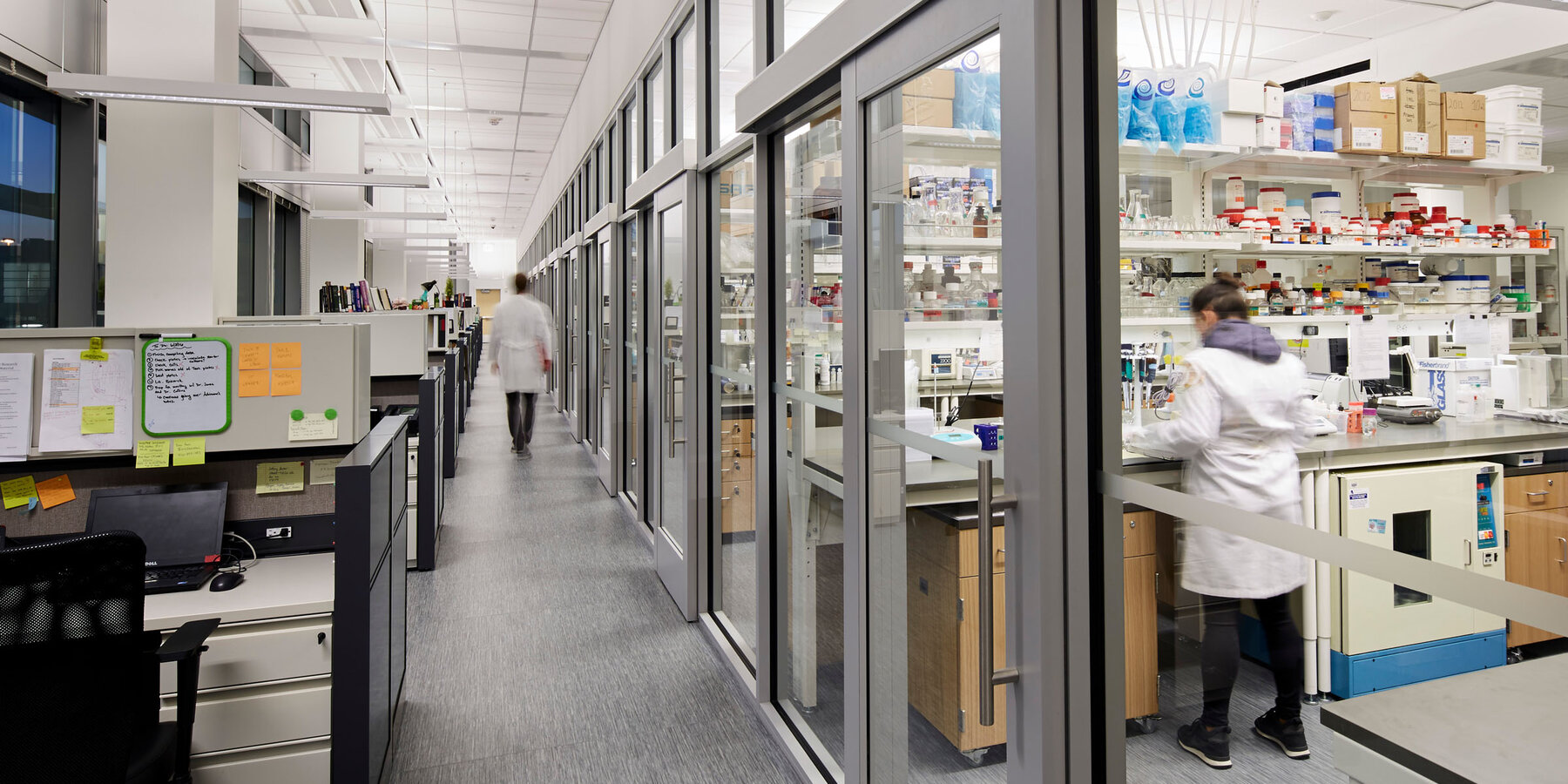 Life Sciences Construction Project - Loyola Chicago CTRE interior lab space with glass doors