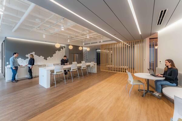 CORPORATE INTERIORS CONSTRUCTION CHICAGO - COOK COUNTY BUREAU OF ASSET MANAGEMENT