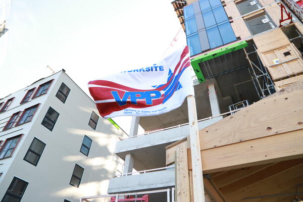 VPP_flag