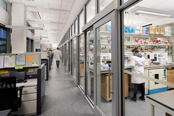 Life Sciences Construction Project - Loyola Chicago CTRE interior lab space with glass doors