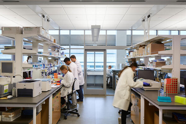 Life Sciences Construction Project - Loyola Chicago CTRE interior lab space with pocket glass doors