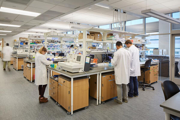 Life Sciences Construction Project - Loyola Chicago CTRE interior lab tables