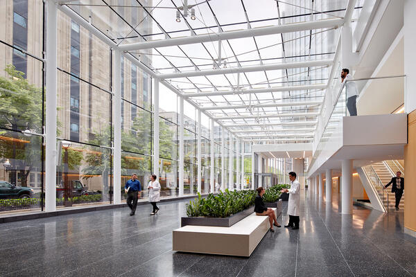 Science Lab Construction - Northwestern Simpson Querrey atrium winter garden