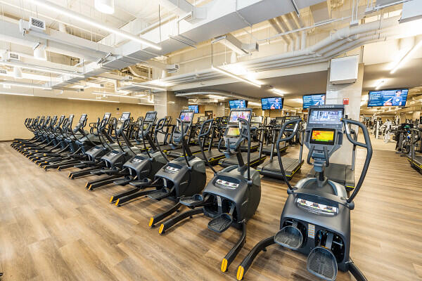 LifeTime Fitness_Cardio