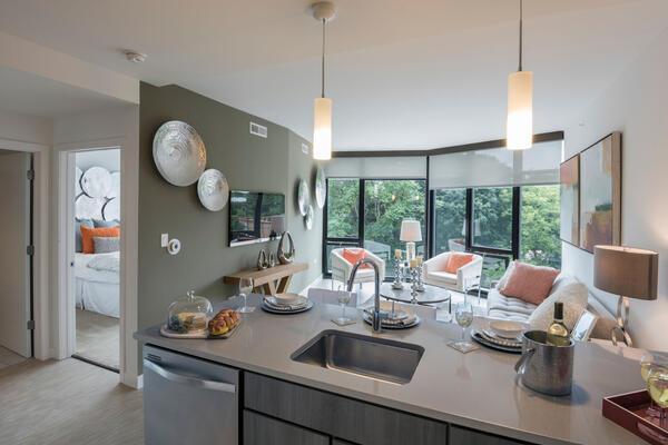 Chicago Luxury Apartment Development - The Main kitchen, living room and bedroom view