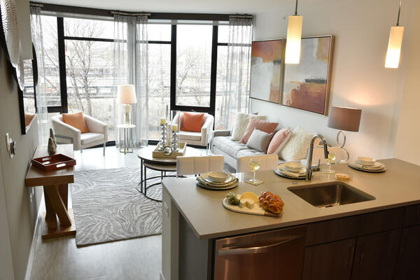 Chicago Luxury Apartment Development - The Main open living kitchen and living room